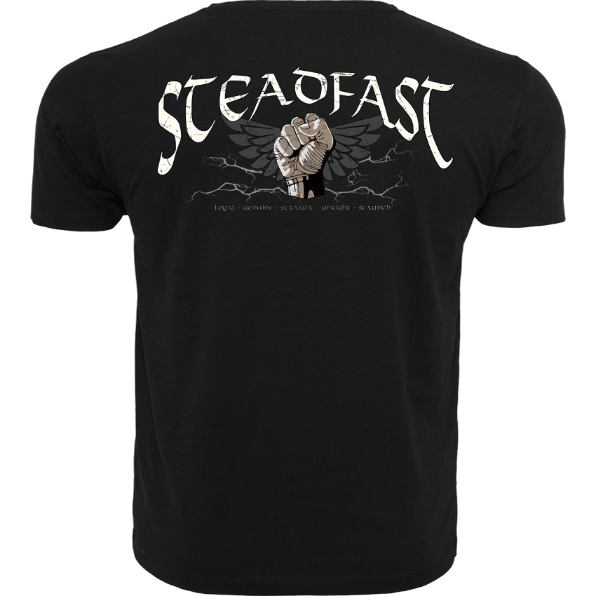 T-Shirt ( Steadfast SF4 „Sons of Sparta“ )