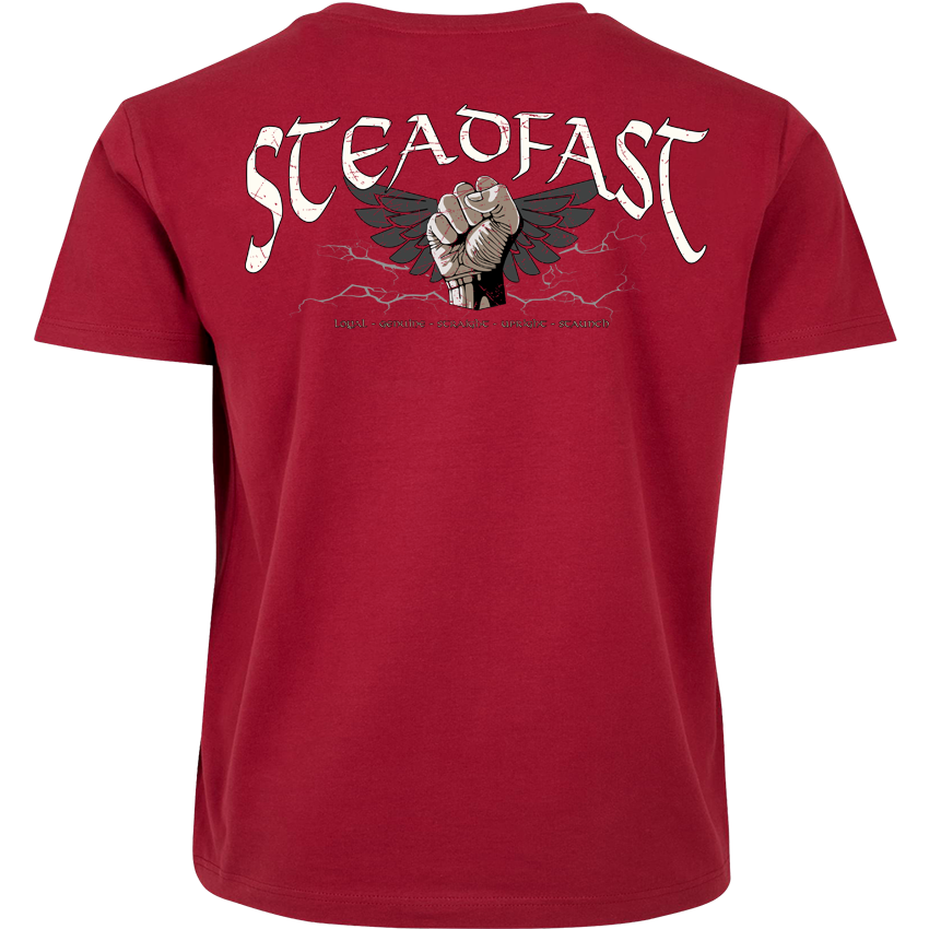 T-Shirt ( Steadfast SF4 „Sons of Sparta“ )