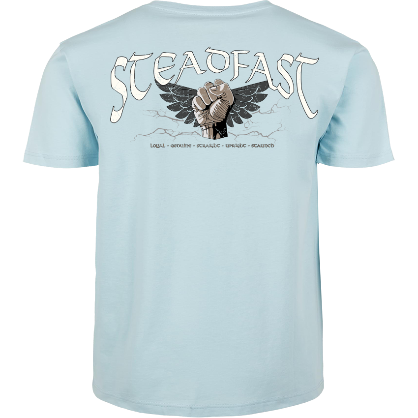 T-Shirt ( Steadfast SF4 „Sons of Sparta“ )