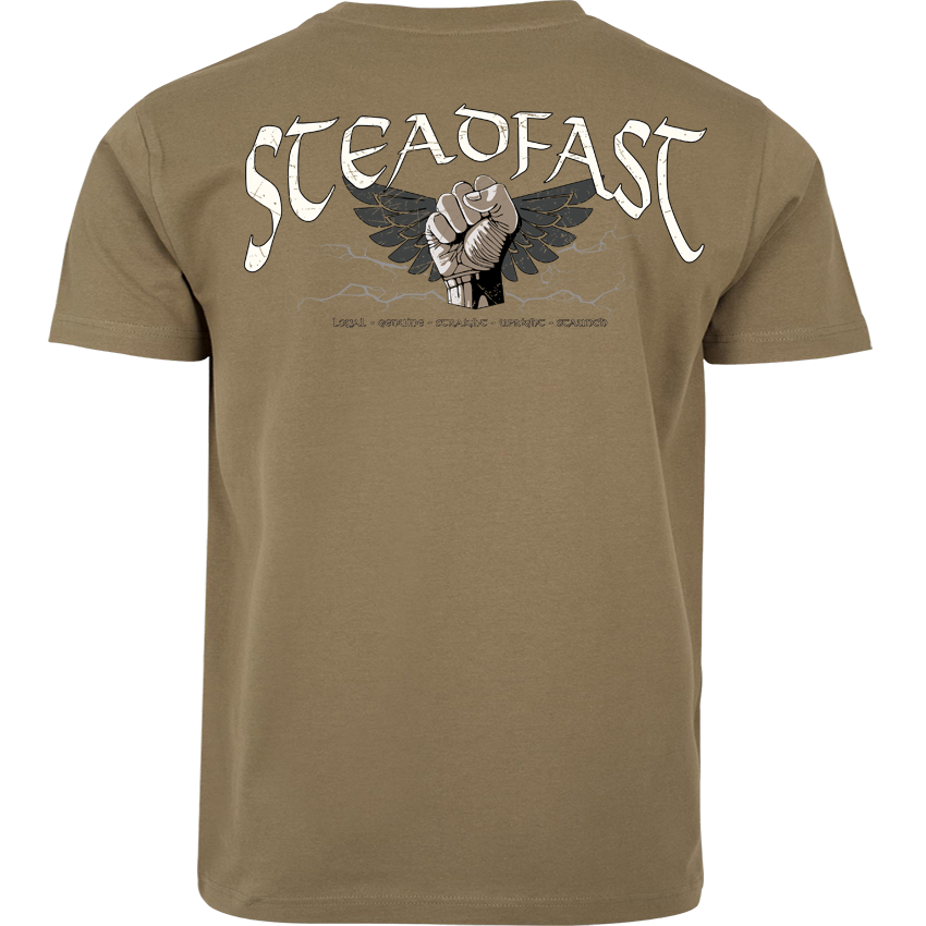 T-Shirt ( Steadfast SF4 „Sons of Sparta“ )