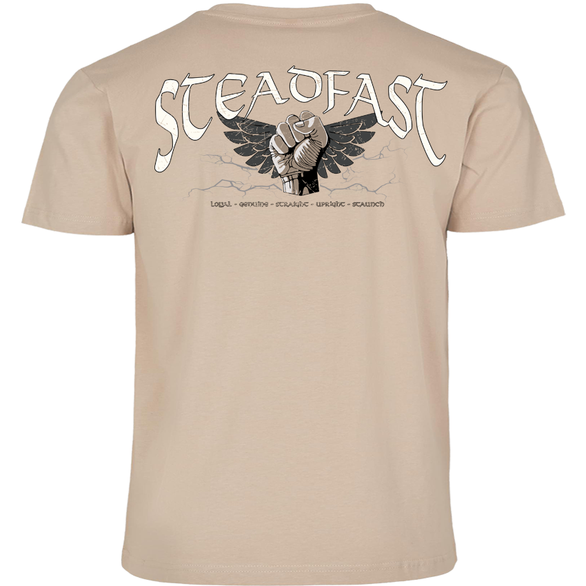 T-Shirt ( Steadfast SF4 „Sons of Sparta“ )