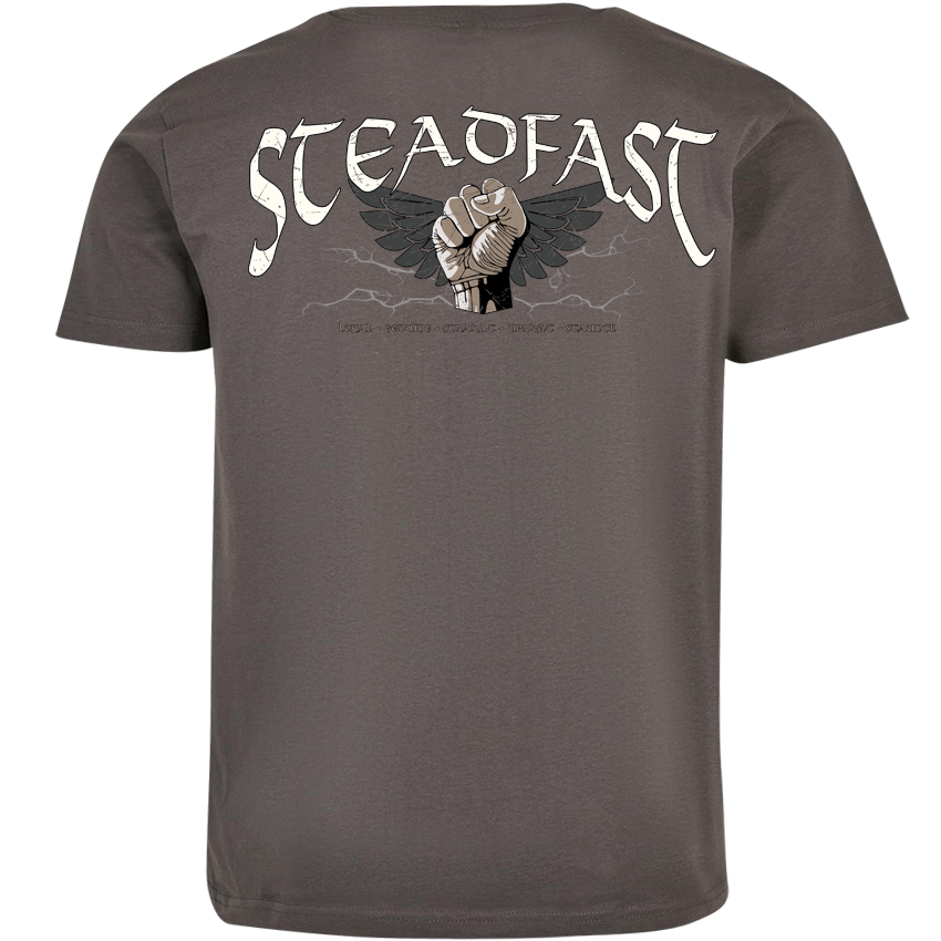 T-Shirt ( Steadfast SF4 „Sons of Sparta“ )