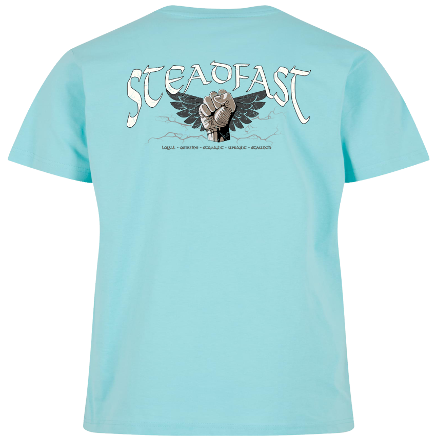 T-Shirt ( Steadfast SF6 „The Day will Come“ )