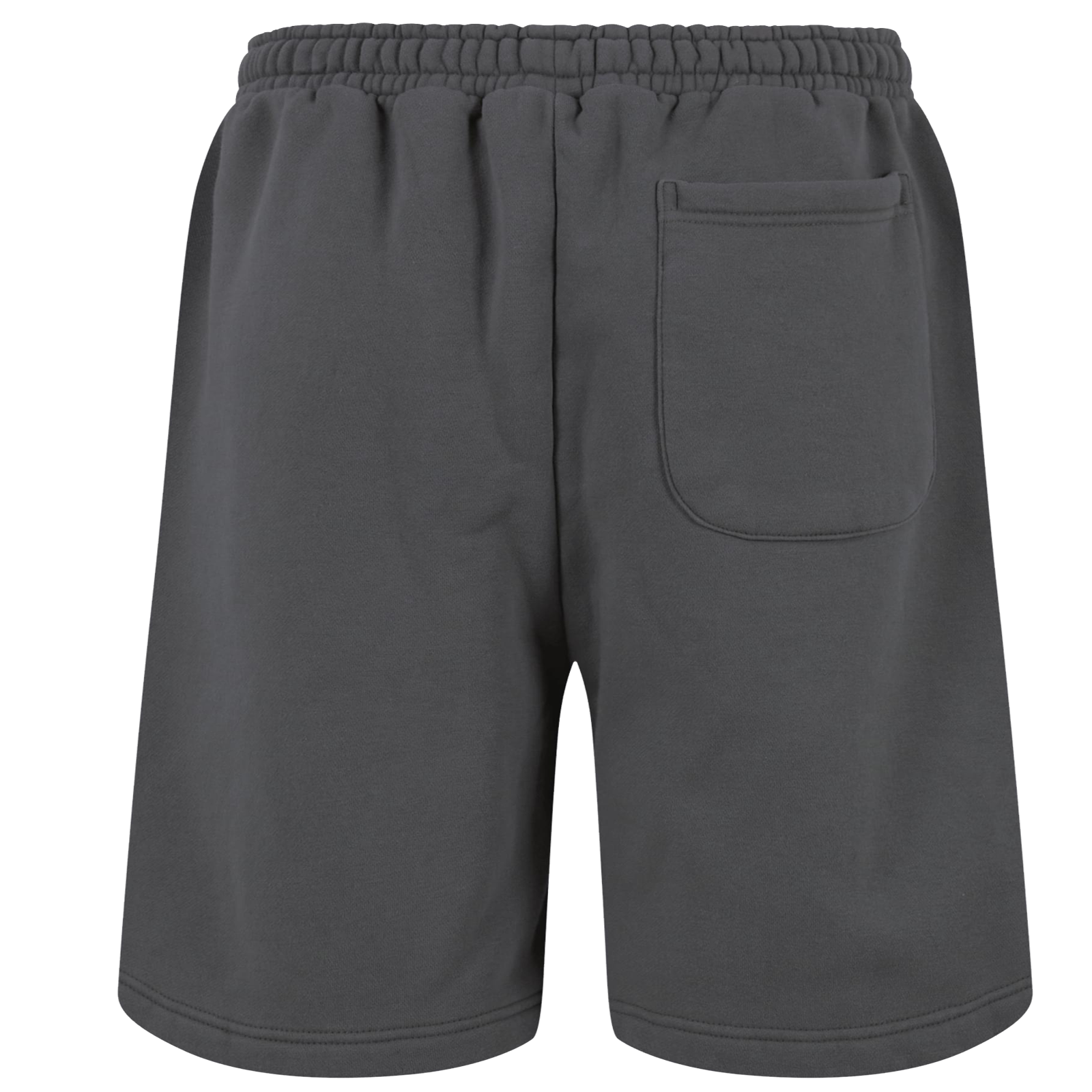 Vintage Shorts ( Silberrücken SR2022F )