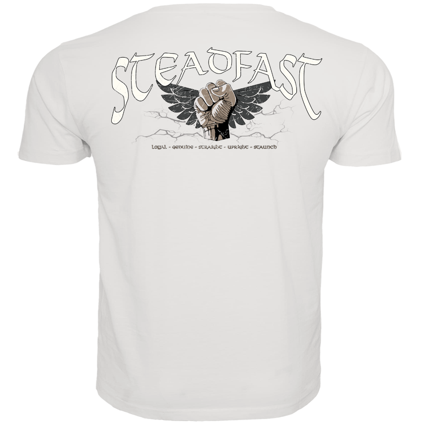 T-Shirt ( Steadfast SF4 „Sons of Sparta“ )